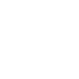 App icon — Adaptive